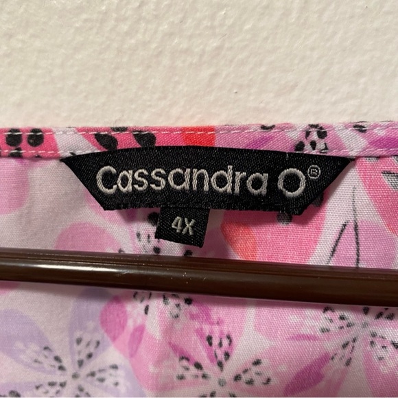 Cassandra O Scrub Top Women’s Size 4X Pink V‎ Neck GrannyCore Pull Over - Picture 4 of 6